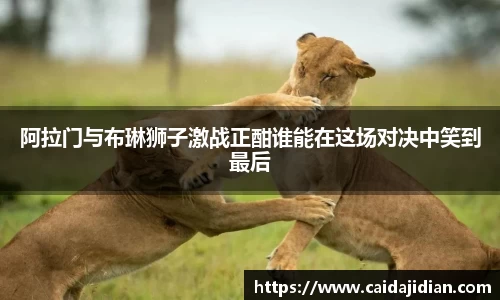 阿拉门与布琳狮子激战正酣谁能在这场对决中笑到最后